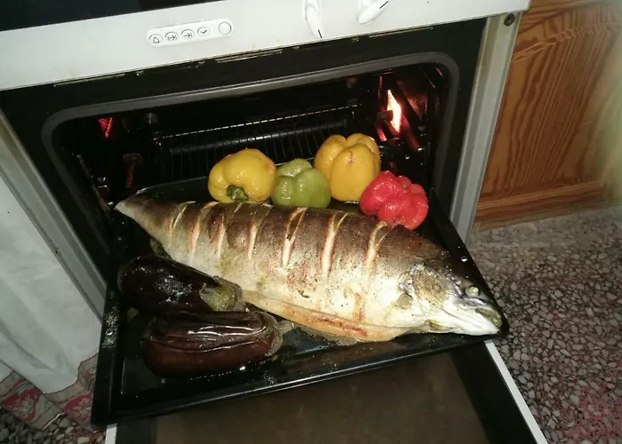 Residencia Conejos - Bike & Motorbike Homestay