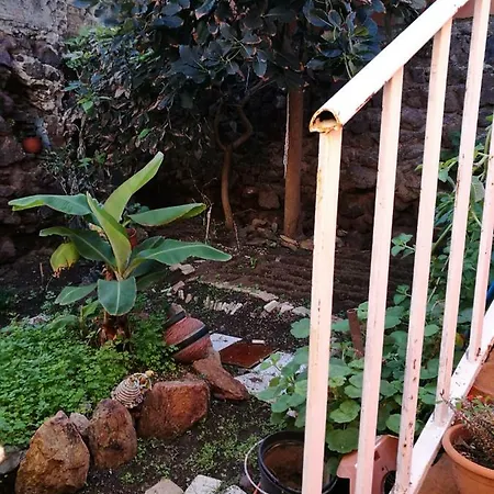 Residencia Conejos - Bike & Motorbike בית אירוח לאס פאלמס דה גראן קנאריה